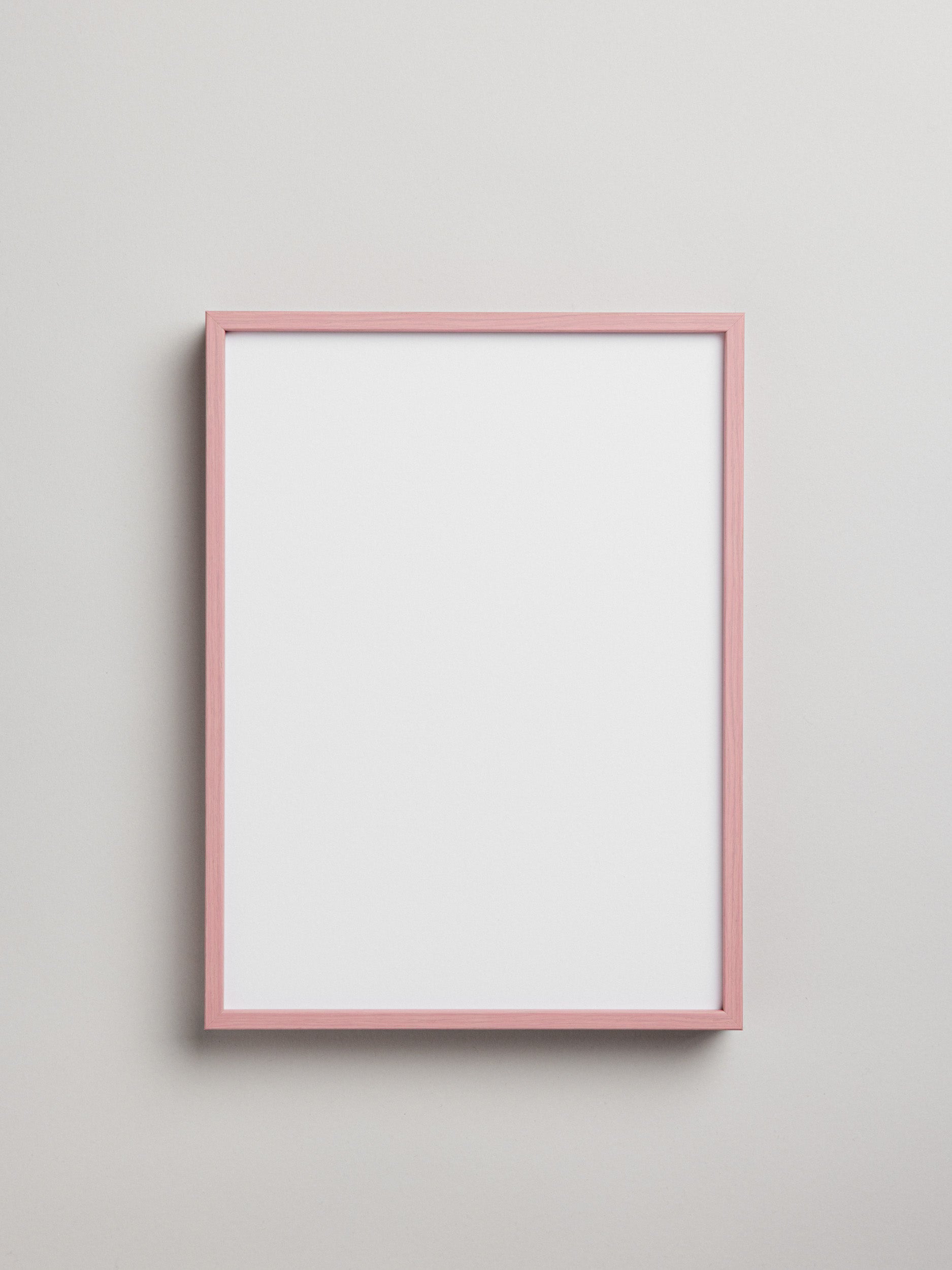 Framing Set - Pink Rose/White